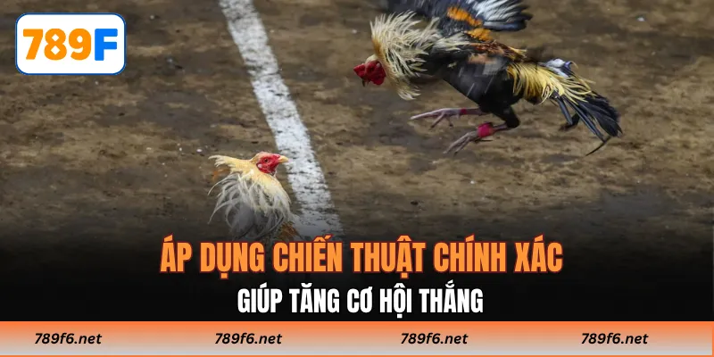 Áp dụng chiến thuật chính xác giúp tăng cơ hội thắng