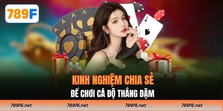 Kinh nghiệm chia sẻ để chơi cá độ thắng đậm