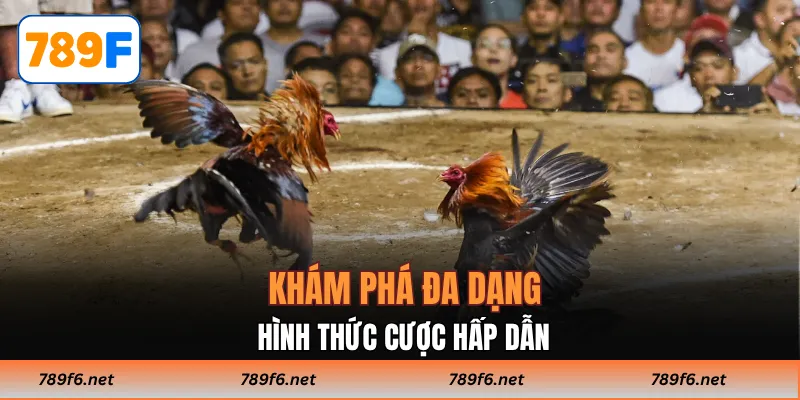 Khám phá đa dạng hình thức cược hấp dẫn